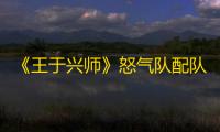 《王于兴师》怒气队配队推荐