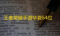 王者荣耀手游华夏64位安卓版天线绘制辅助V1.9