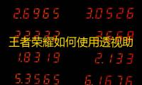 王者荣耀如何使用透视助手