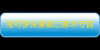 宝可梦朱紫御三家木守宫刷闪方法