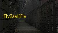 Flv2avi(Flv转avi/wmv/mp3格式转换器) 1.2 绿色版