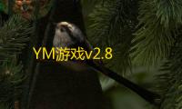 YM游戏v2.8